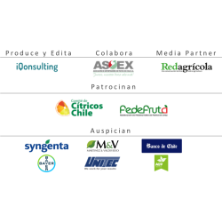 Anuario de Citricos 2022