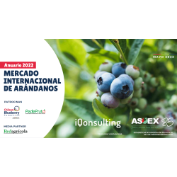 Anuario de Arandanos 2022