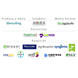 Anuario de Uva de Mesa 2022