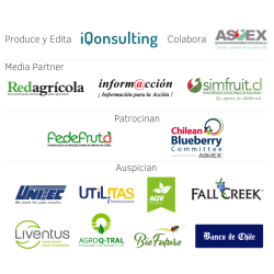 Anuario de Arandanos 2023