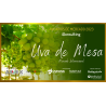 Anuario de Uva de Mesa 2023