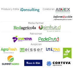 Anuario de Uva de Mesa 2023