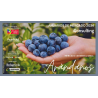 Anuario de Arandanos 2024