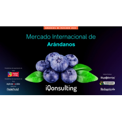 Anuario de Arandanos 2025