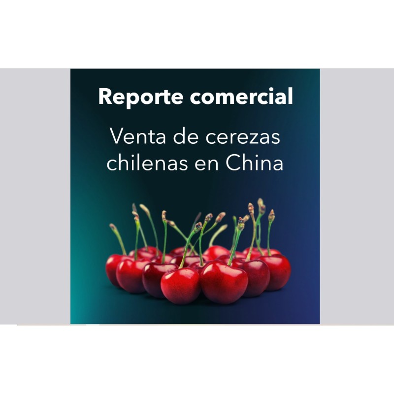 Reporte comercial ventas de cerezas chilenas temporada 24/25