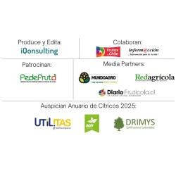 Anuario de Citricos 2025