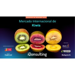 Anuario de Kiwi 2025