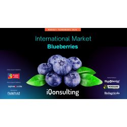 Yearbook Blueberries 2025