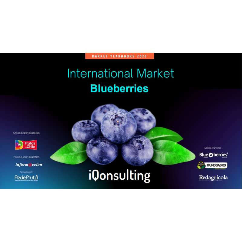 Yearbook Blueberries 2025