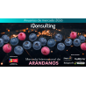 Anuario Arándanos 2026